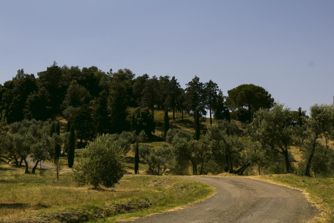 Agriturismo Aia Leccioni Micciano Kültér fotó